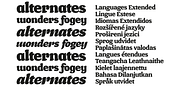 Brokolino Text, a Slab Serif Font by Aspro Type (Thumbnail 14 of 14)