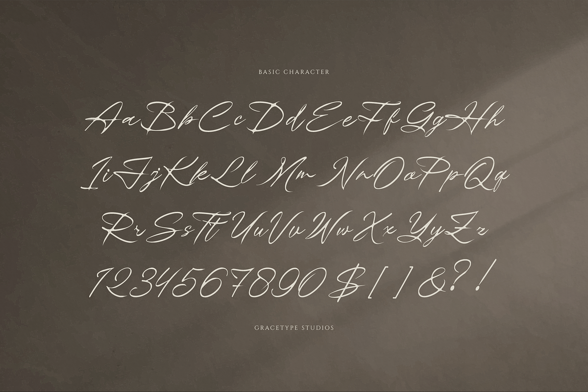 Theyladia | Handwritten Script, a Script Font by gracetype_studio (Photo 10 of 12)