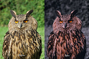 30 Nightmare Lightroom Collection, a Preset Add-On by 3Motional (Thumbnail 8 of 11)