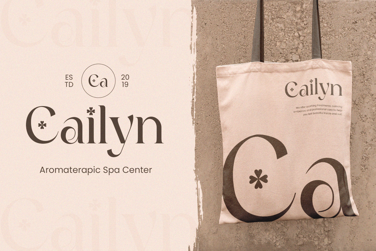 Clover - Modern Serif Logo Font, a Serif Font by Sensatype (Photo 3 of 12)