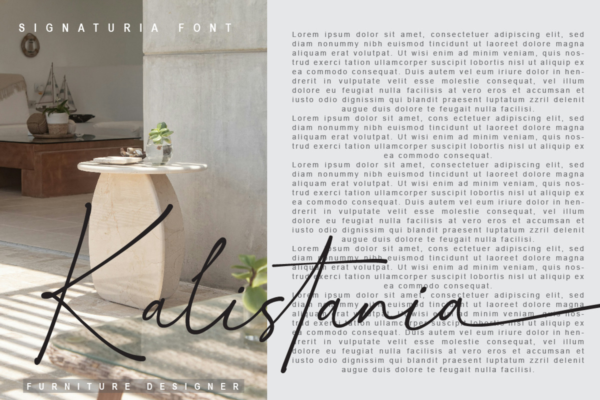 Signaturia - Handwritten Signature, a Script Font by Typebae (Photo 8 of 10)