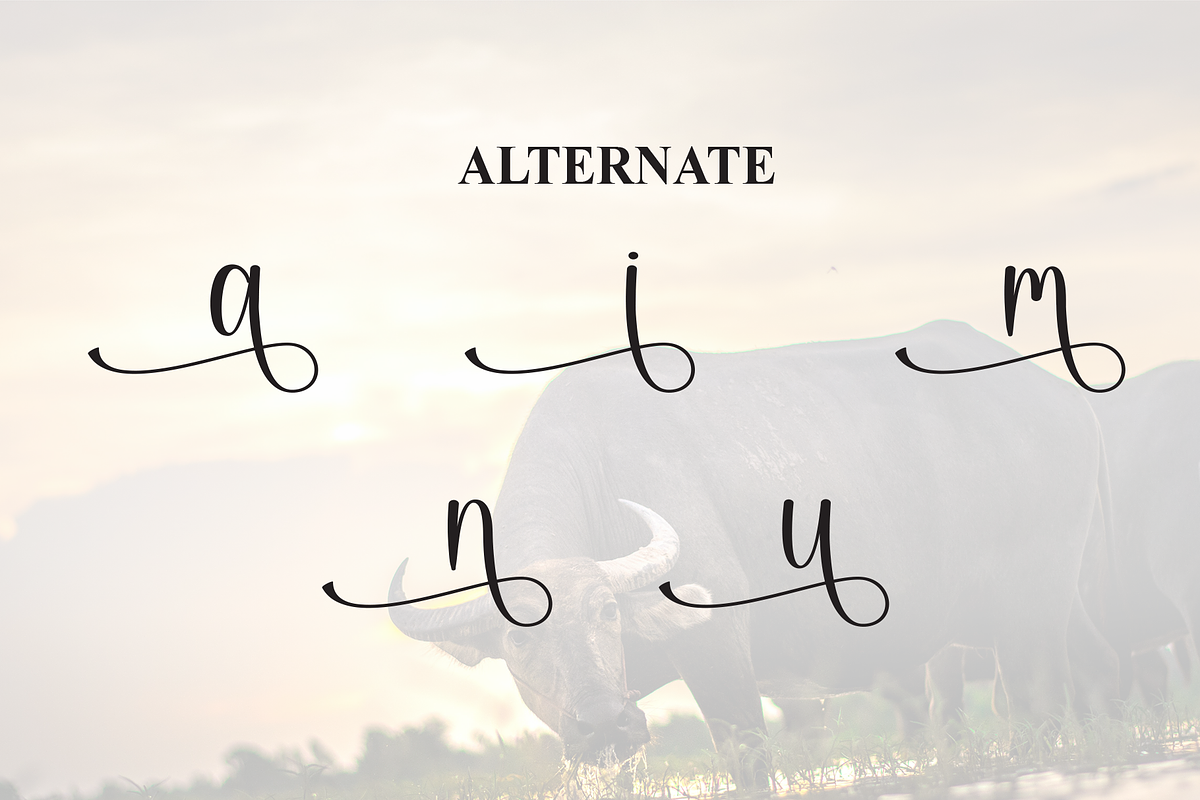 Buffalo | Script Font, a Handwritten Font by Scratchones (Photo 8 of 9)