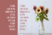 Vinaly Serif Font, a Serif Font by Idea Studio (Thumbnail 7 of 11)