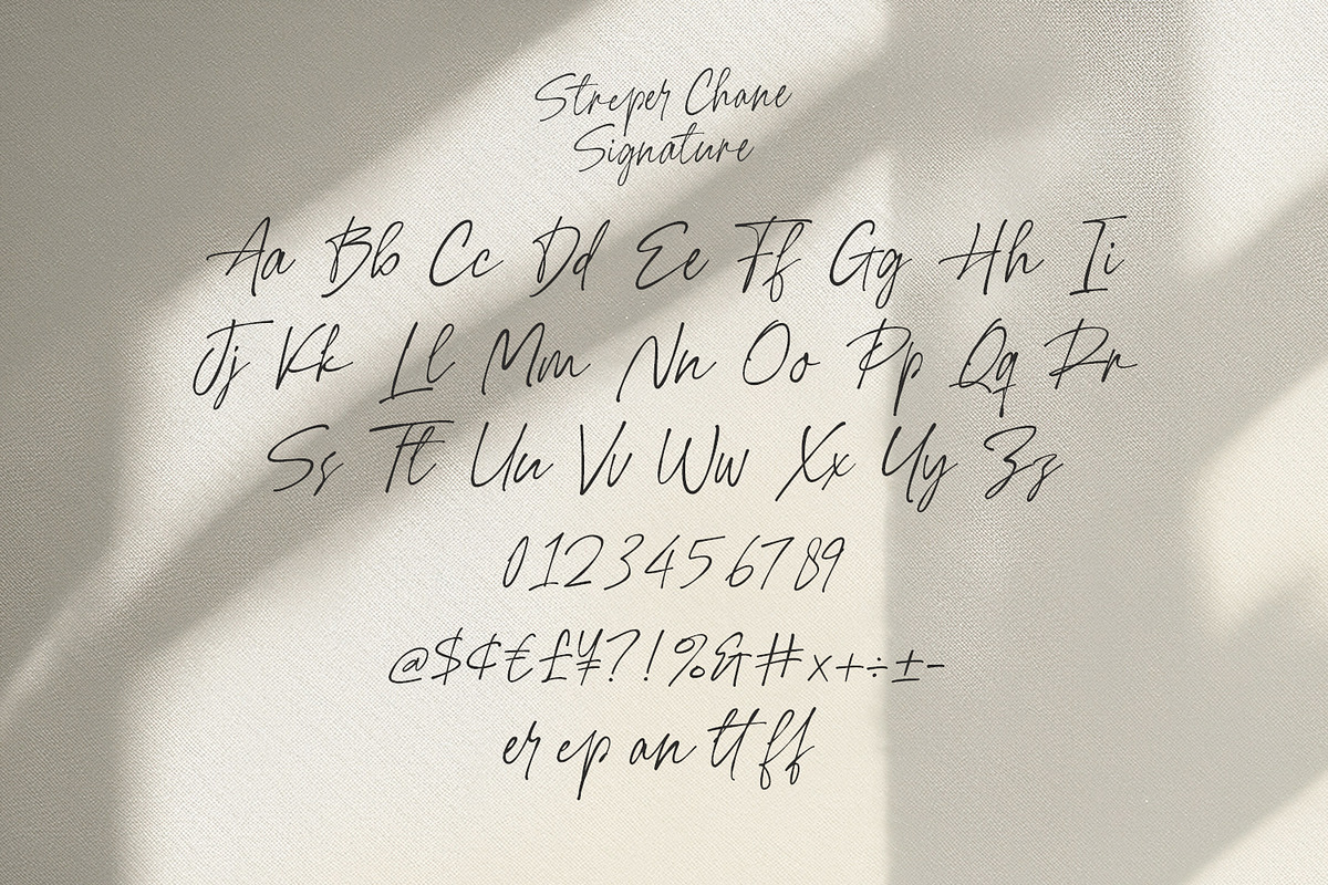 Streper Chane Signature Script Font, a Script Font by Maulana Creative (Photo 7 of 7)