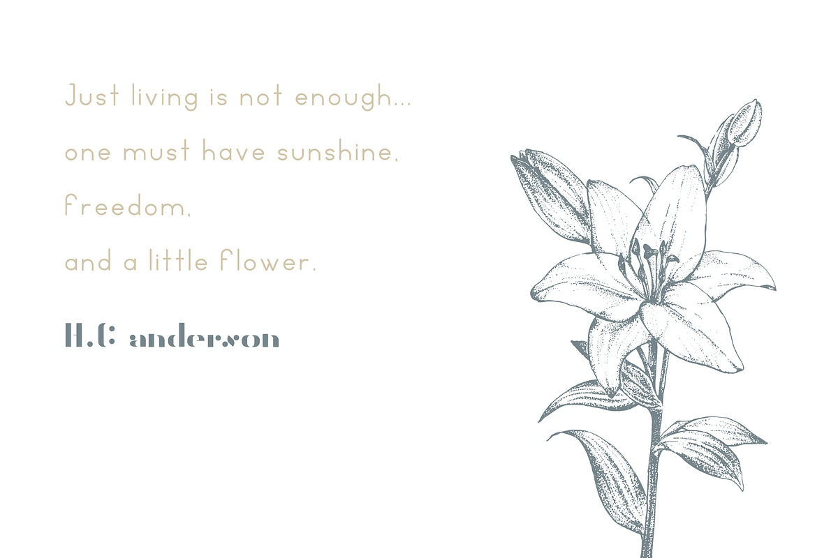 Rhode Font Duo preview 7