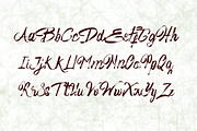 His Embrace Texture Brush, a Script Font by SSI.Scraps (Thumbnail 8 of 11)