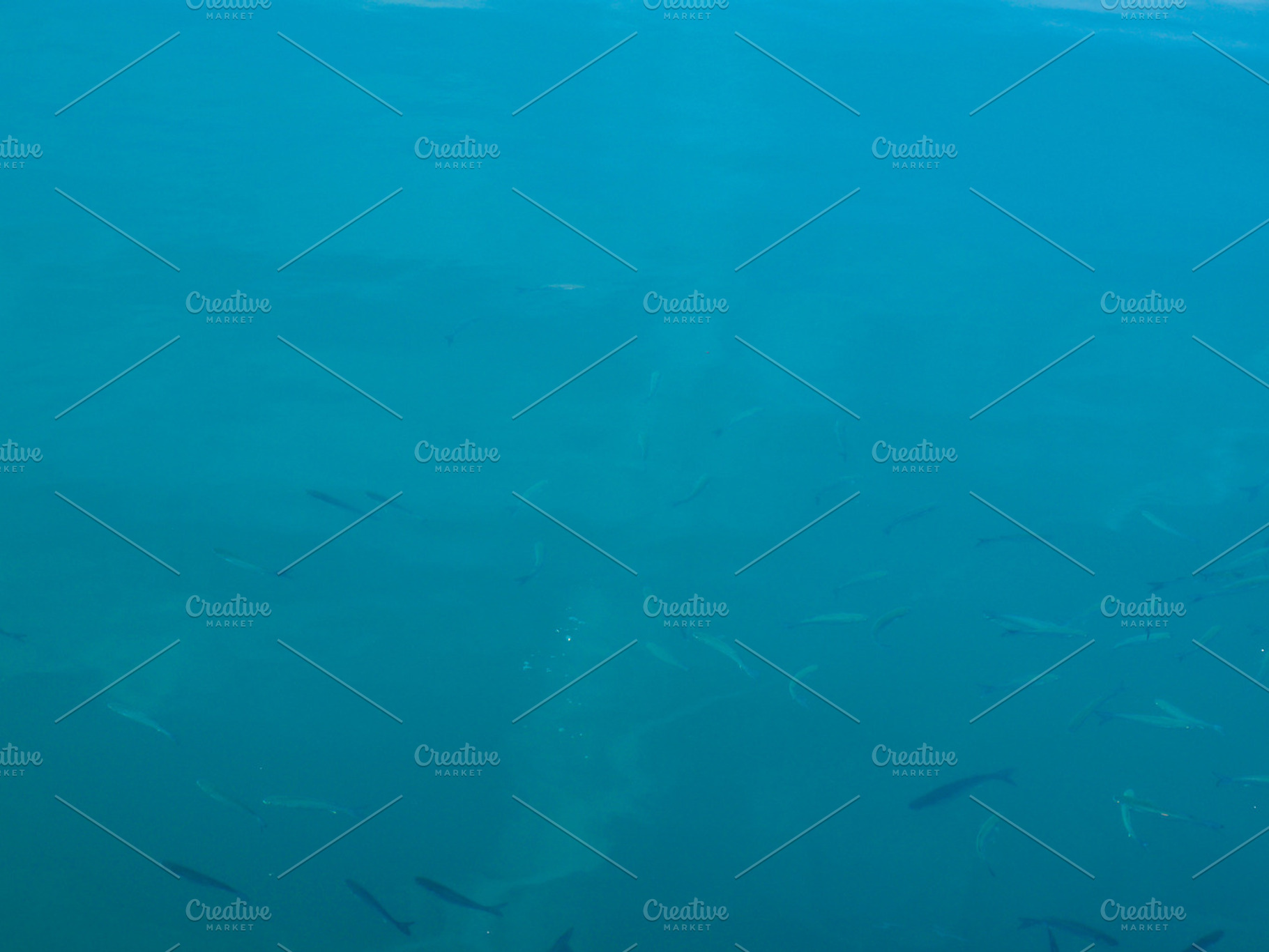 Water background featuring fish, fishes, and sea