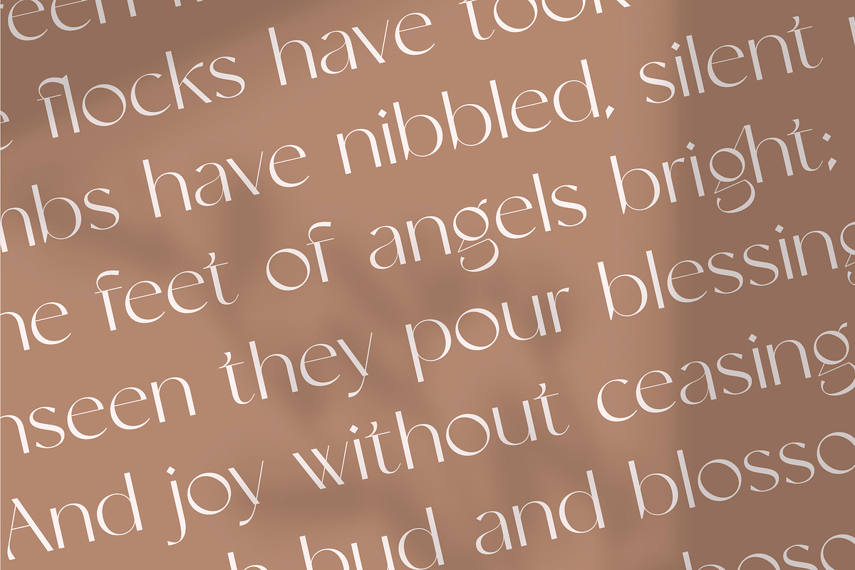 Nightfall - Modern Luxury Sans-Serif, a Sans Serif Font by Studio Aurora (Photo 6 of 17)