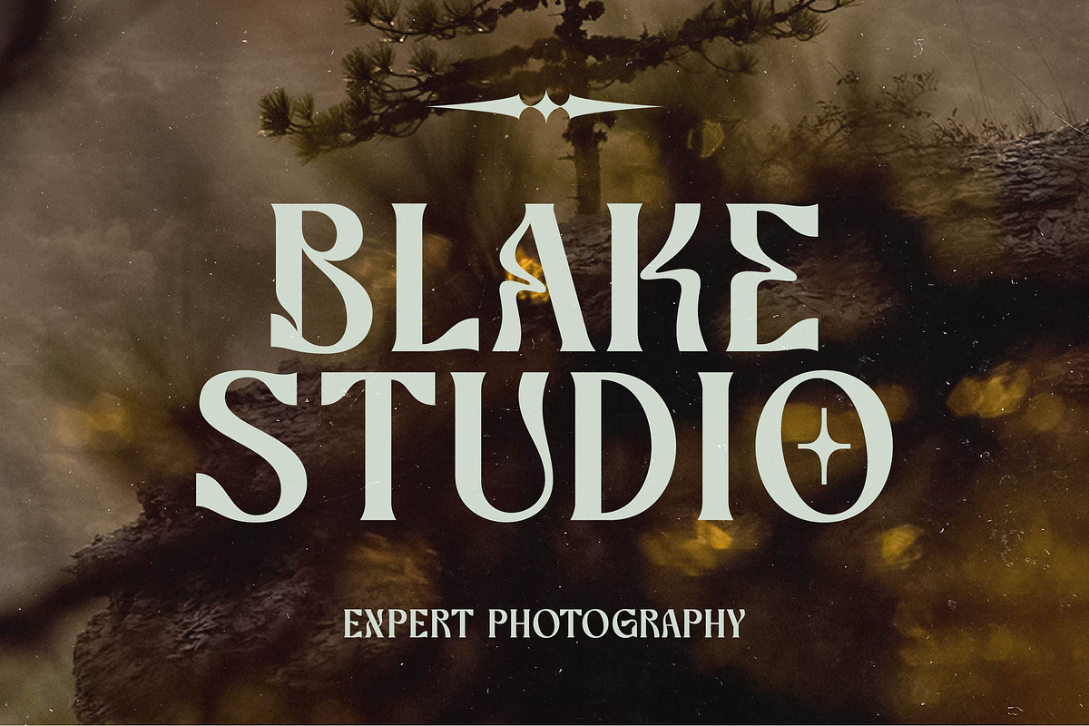 Bottarie Freestyle Display Font, a Serif Font by timelesstype.co (Photo 6 of 20)