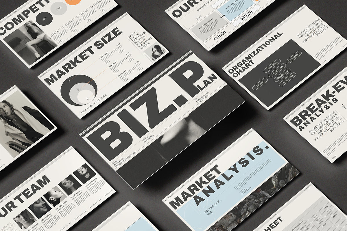 Business Plan Presentation Template preview 5