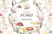 Watercolor Mushrooms Collection, an Education Illustration by MayaNavits (Thumbnail 1 of 14)