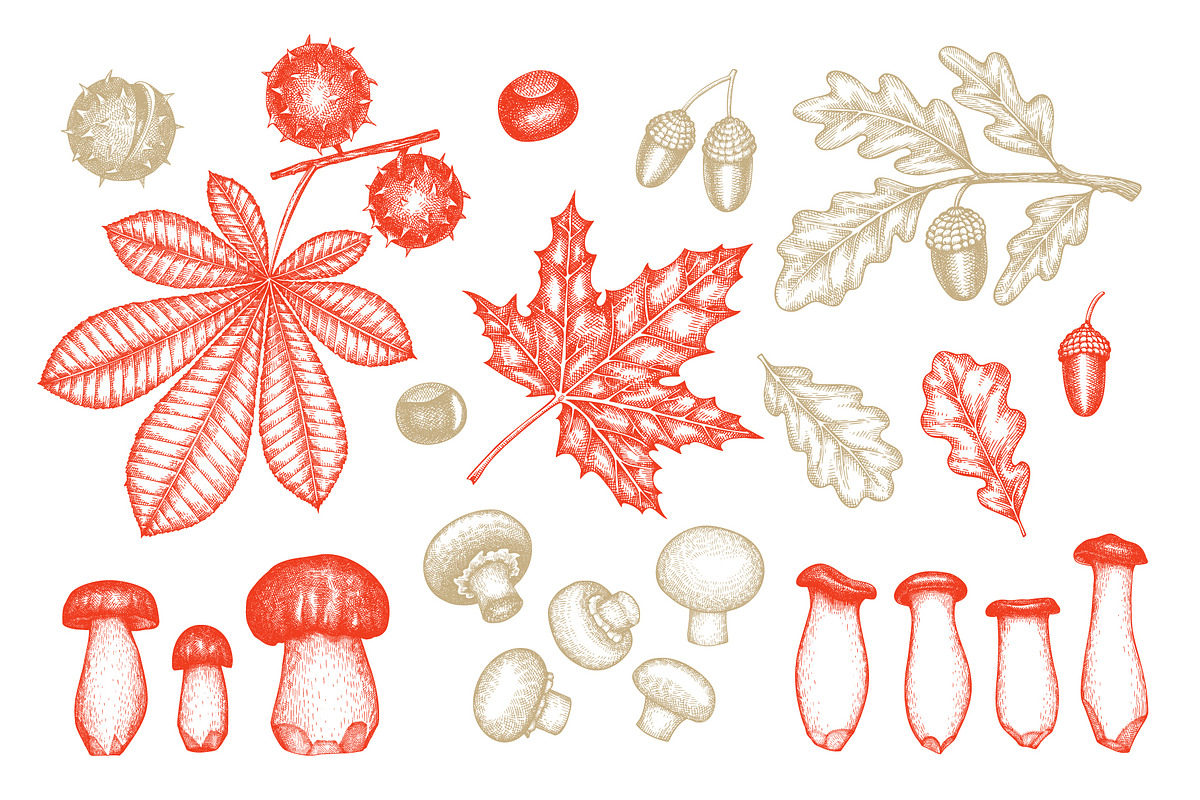 Autumn Season Illustrations, a Seasonal Illustration by Lubov Illustrations Shop (Photo 4 of 6)