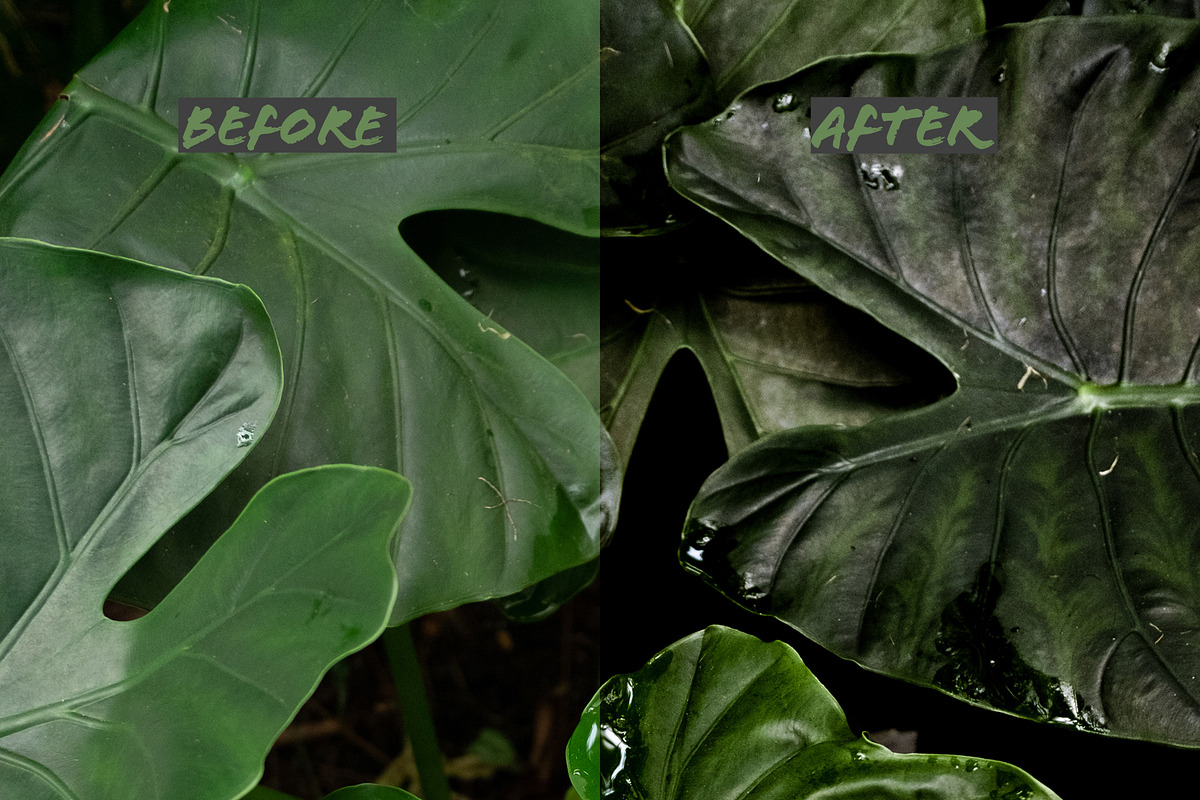 Lightroom Presets: Greens, an Action Add-On by Giel Sweertvaegher (Photo 3 of 7)