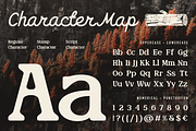 Rofina, a Serif Font by Burntilldead (Thumbnail 2 of 11)