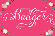 Badger, a Script Font by NaldyStudio (Thumbnail 1 of 7)