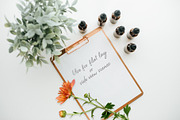 Coral Mums -Realistic Flowers, an Object Graphic by Turning Moss (Thumbnail 5 of 5)