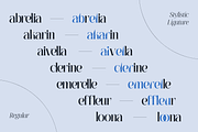 Aguilary Modern - Elegant Logo Font, a Serif Font by Nirmana Visual (Thumbnail 16 of 16)