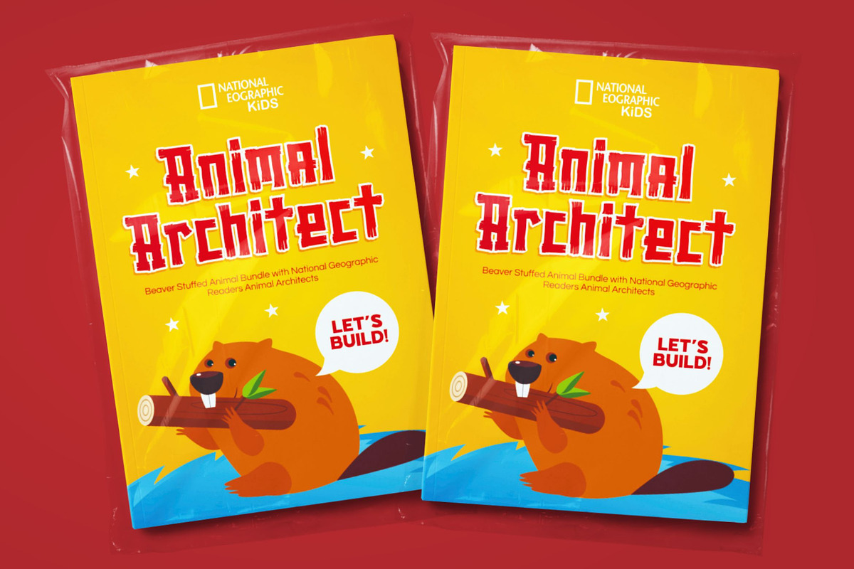 The Beaver - Quirky Rough Font, a Handwritten Font by Imoodev
