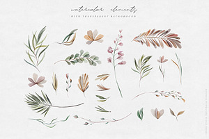 Watercolor Botanical Collection