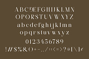 DEVITO - Modern Ligature Serif Font, a Serif Font by AnnofaType (Thumbnail 6 of 8)