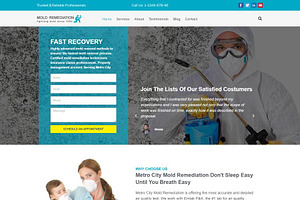 Mold Remediation WordPress Theme