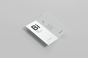 100x DL Brochure Mockup Bundle