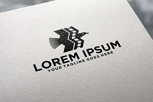 Falcon Film Production Studio logo, a Design Template by REDVY CREATIVE