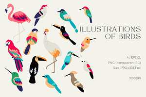 Exotic Birds Collection