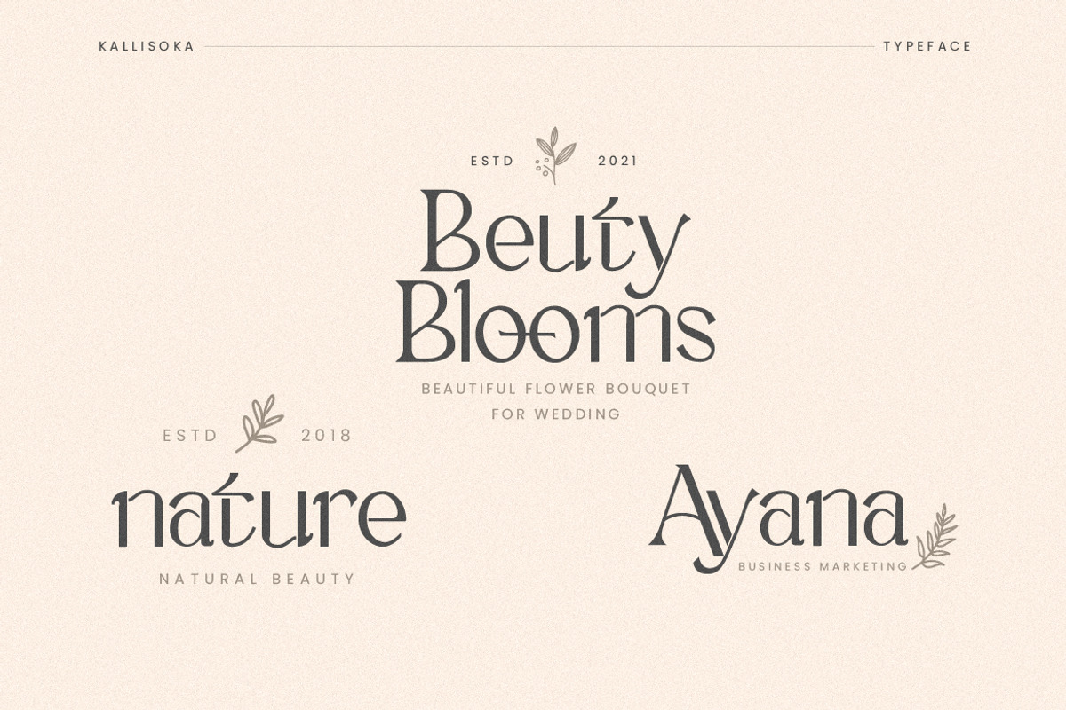 Kallisoka Modern Elegant Serif, a Serif Font by Creatype Studio (Photo 6 of 9)