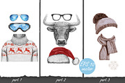 Bull / Wintertime, an Animal Illustration by Victoria_Novak (Thumbnail 4 of 4)