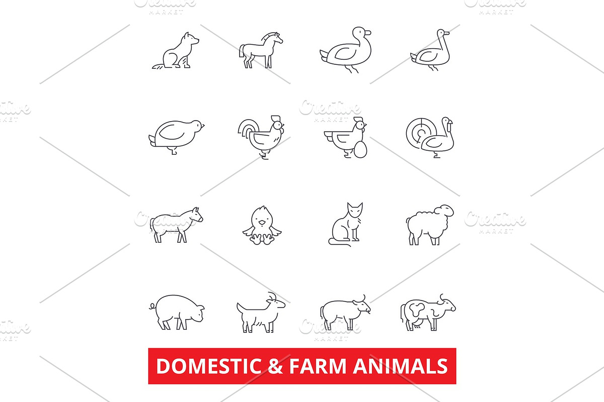 Domestic farm animals line icons. Cow, dog, cat, donkey, chicken, duck, goose, pig, sheep. Editable strokes. Flat design vector illustration symbol concept. Linear signs isolated on white background, an Outline Icon by urban icon