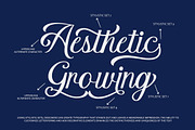 Lastron – Modern Elegant Script Font, a Font by MERCI STUDIO (Thumbnail 2 of 9)