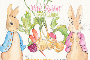 Peter Rabbit - Summer Garden