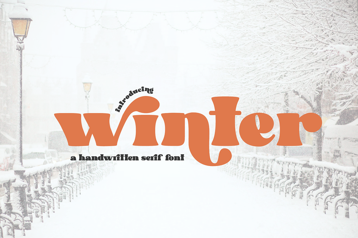 winter - Absonstype, a Serif Font by Absonstype (Photo 1 of 11)