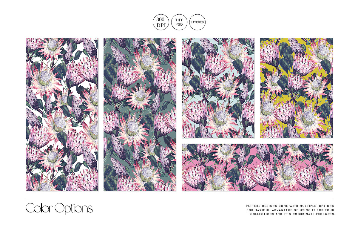 Exotic Protea Prints & Motifs, a Pattern Graphic by Pink Linen (Photo 4 of 10)