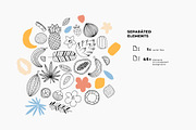 Tropical fruit illustrations, a Decorative Illustration by adehoidar (Thumbnail 4 of 6)