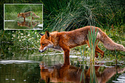 Crisp Adobe Lightroom Preset, a Preset Add-On by Voleshads (Thumbnail 12 of 12)