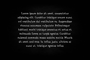 Lorem Serif, a Serif Font by Noe Araujo (Thumbnail 3 of 4)