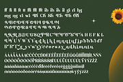 Shine Dailys Groovy Serif Font, a Serif Font by timelesstype.co (Thumbnail 19 of 20)