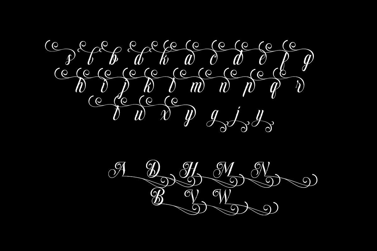 Dollarios - Calligraphy, a Script Font by INKSUN™ (Photo 7 of 8)