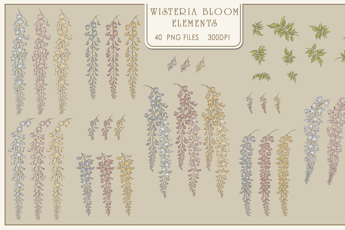 Fresco collection Wisteria bloom, a Wallpaper Graphic by Natalia0307 (Photo 4 of 25)