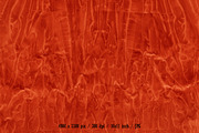 Red Crushed Paper Textures, a Texture Graphic by graphic7 (Thumbnail 17 of 21)