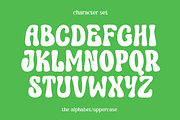 Curious Goose Font - Groovy Font, a Handwritten Font by ariodsgn (Thumbnail 2 of 8)