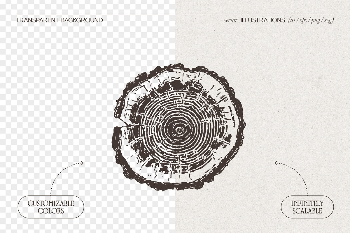 Tree Rings Wood Sketches, a Decorative Illustration by TheMountBirdStudio (Photo 2 of 5)