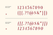 Sofiatweet - Modern Serif Duo Style, a Serif Font by Typia Nesia (Thumbnail 3 of 13)