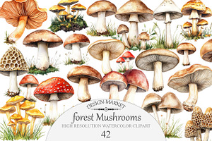 Forest Mushrooms Clipart, an Illustration by Design Market
