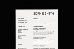 CV Template Minimalist Professional