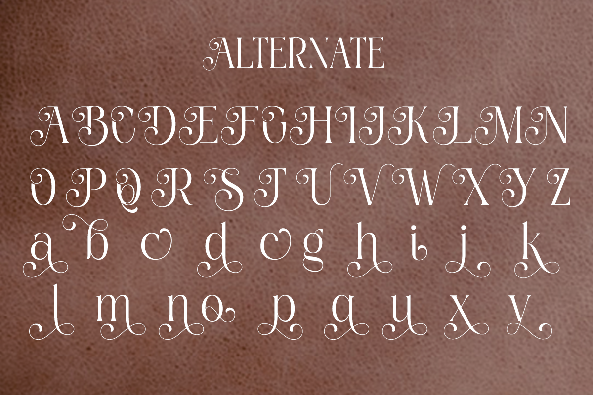 Shine Heels - Elegant Beauty Serif, a Serif Font by Qweera Studio (Photo 10 of 12)