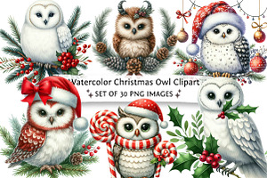Watercolor Christmas Owl Clipart, an Illustration by DreamPrint404