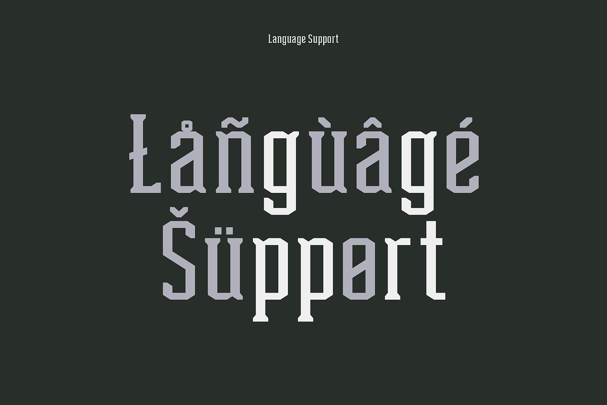 T415 Barbell, a Slab Serif Font by Type415™ (Photo 4 of 6)